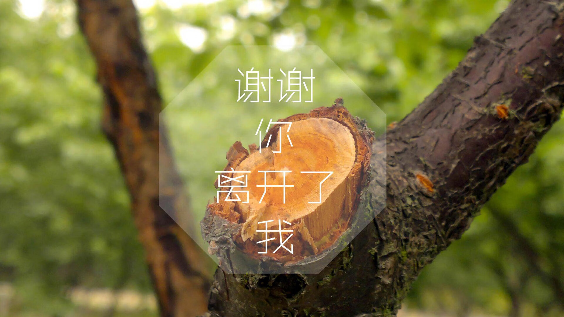 中国篮球新政策鼓励企业赞助，商业合作拓展，中国国家篮球队官方供应商