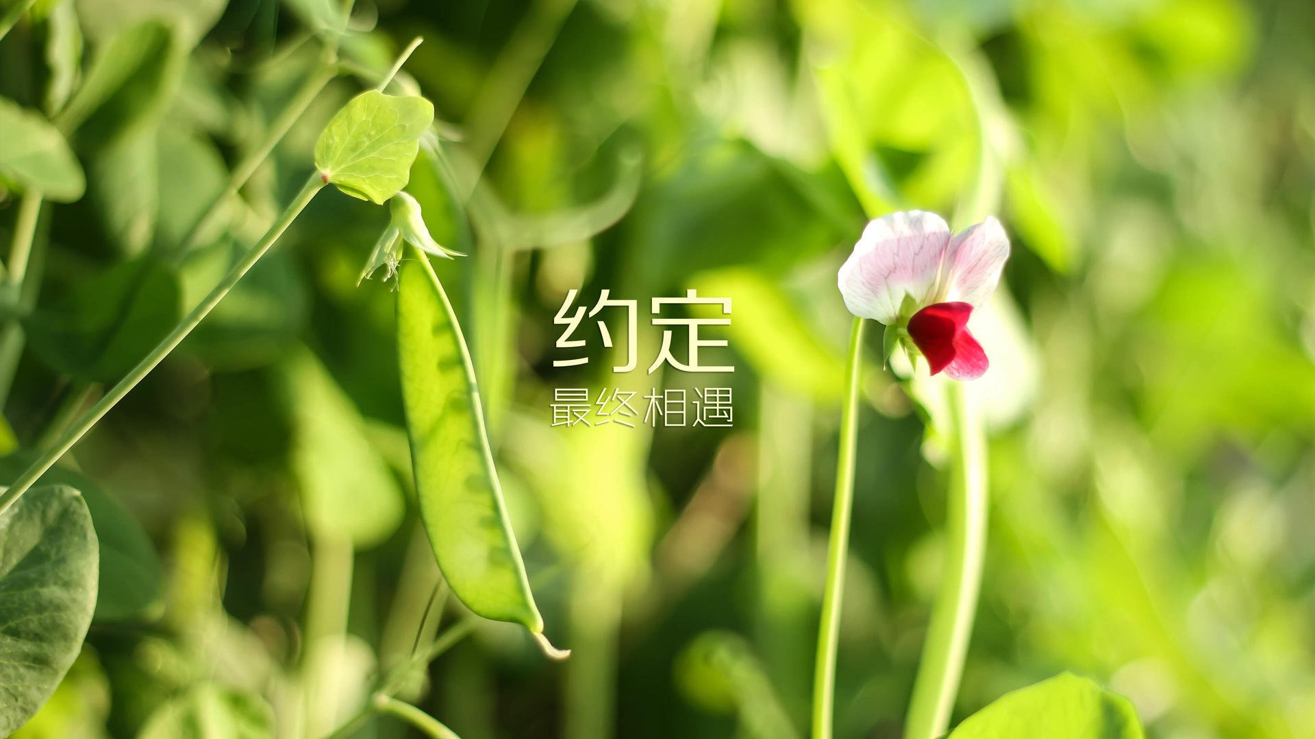 爱游戏综合娱乐-欧锦赛资格赛第二轮对决，势均力敌争夺晋级，欧锦赛名单