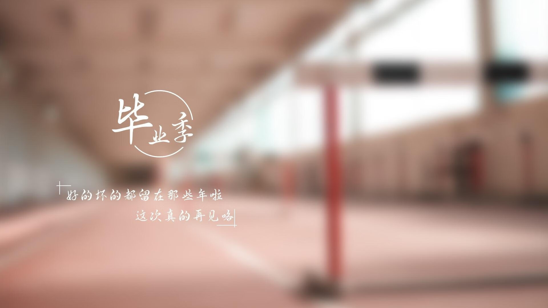 爱游戏 电竞-爱尔兰队战胜卢森堡，再度展露强势实力，爱尔兰对阵卢森堡