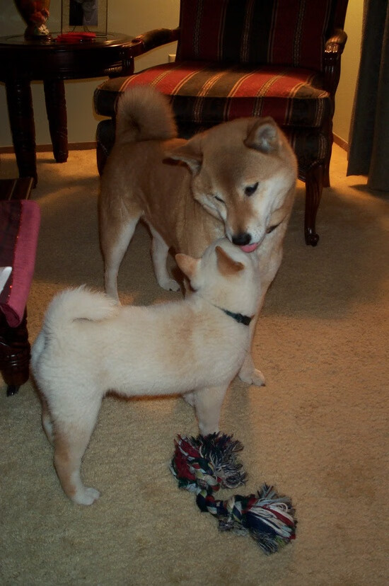 篮球运动员比赛焦虑管理与干预方法，篮球比赛运动员注意事项