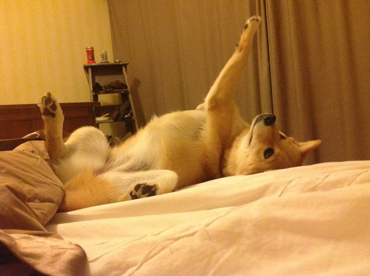 搏击赛前动员大会引导选手关注心理安全，搏击比赛赛前准备