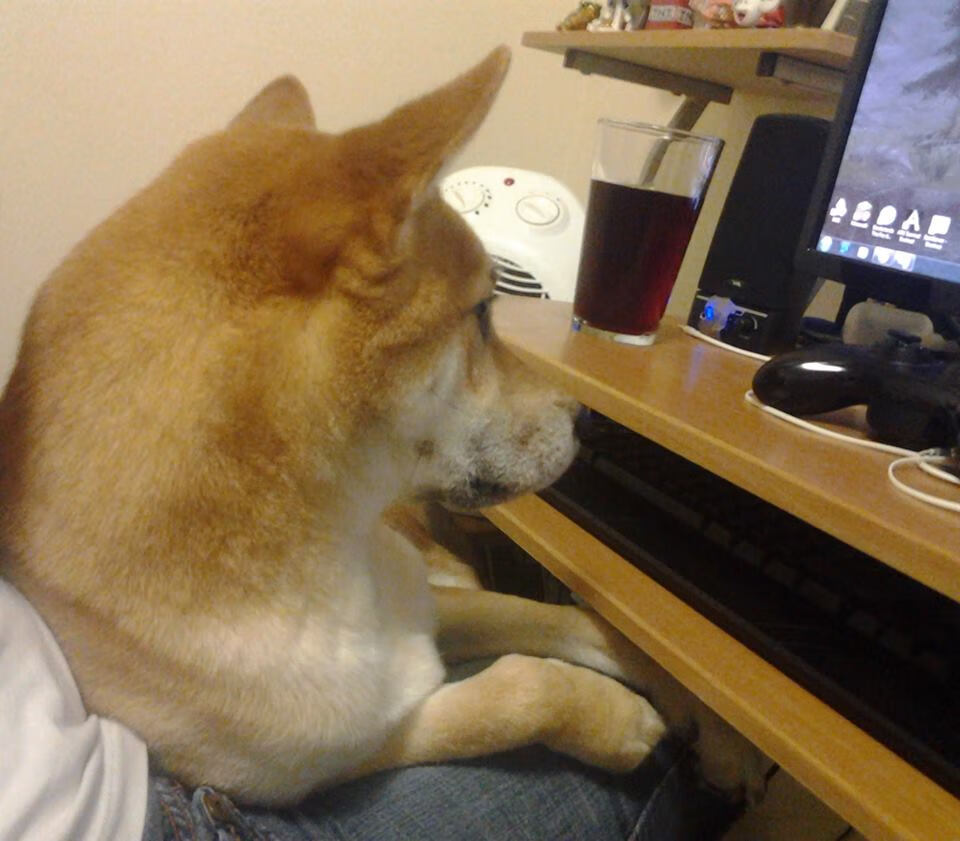 体育新闻中心通报全国自由搏击赛事裁判培训班安排，全国自由搏击锦标赛比赛规则