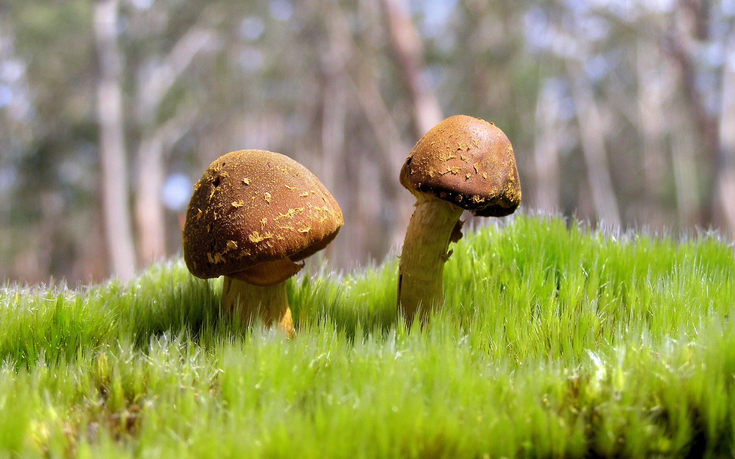 爱游戏登录入口-体育文化交流项目开展，体育文化的交流