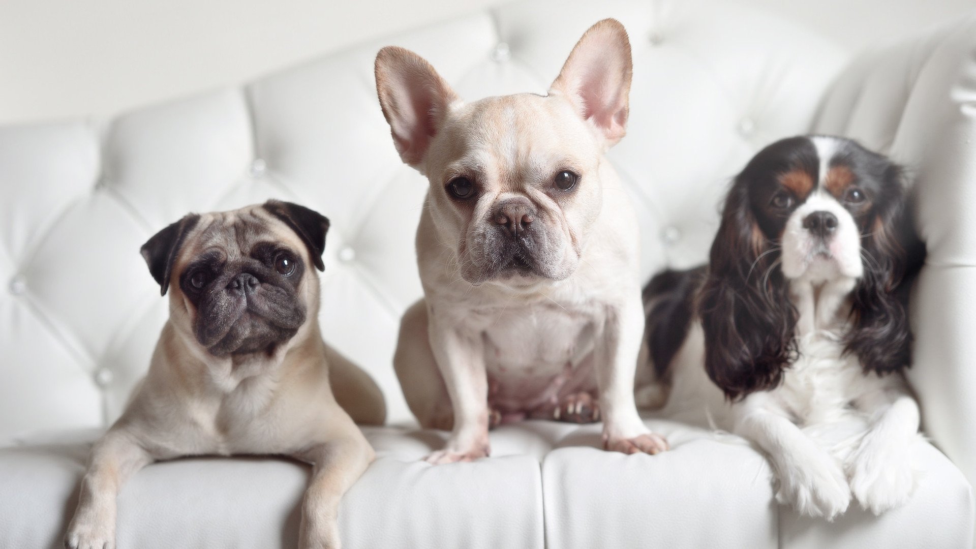 体育文化交流项目开展,体育文化的交流