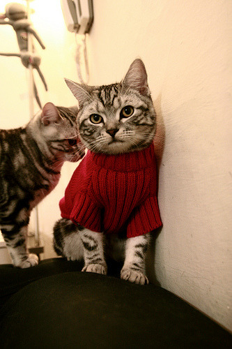 新西兰全黑队通过高效反击迅速拉开比分差距，新西兰全黑队服