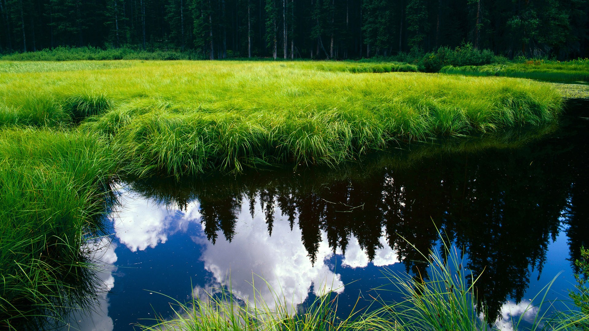 朱婷称团队默契源自日常相处细节，朱婷团队言论