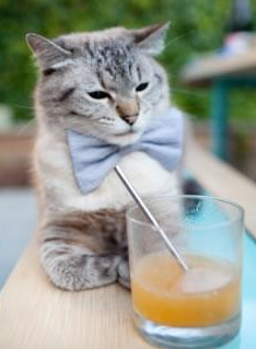 欧洲杯变阵奇兵：战术灵活，精彩不断！，70秒还原欧洲杯惊魂瞬间