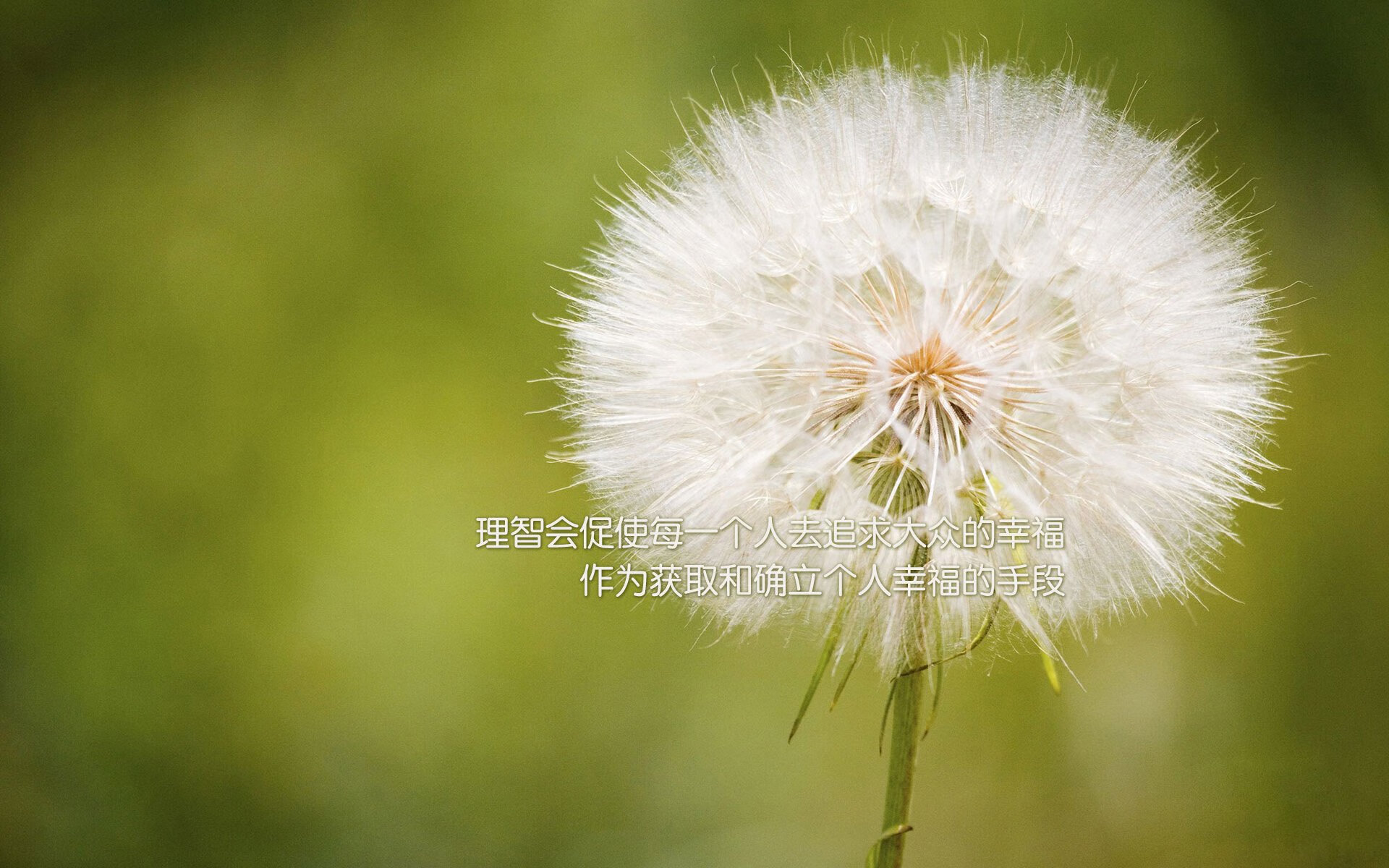 米切尔强势复出爵士球队重返前八，爵士米切尔复出时间