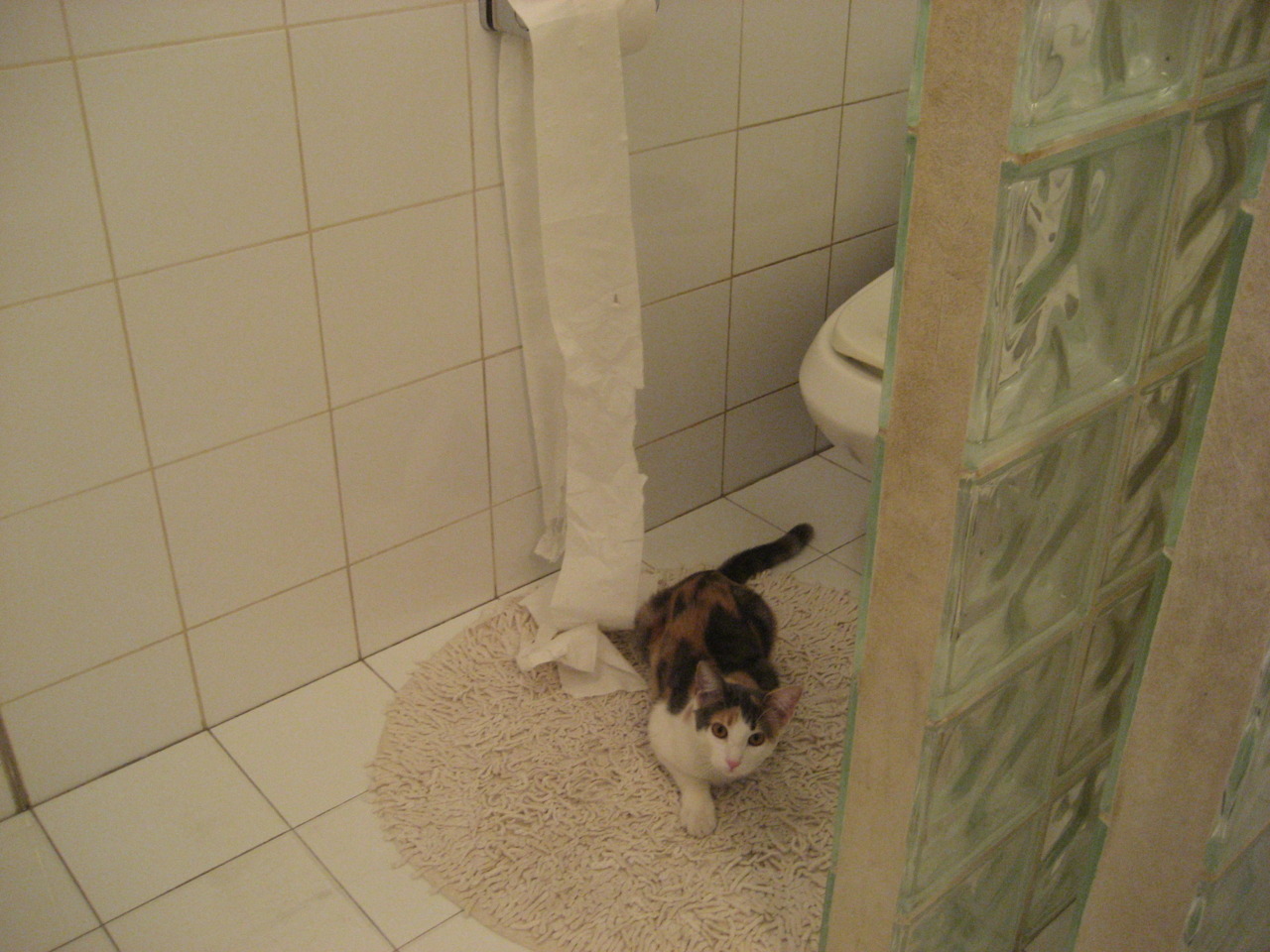 虚拟现实足球训练课程在全球多国启动，青训科技化新风潮，什么是虚拟足球