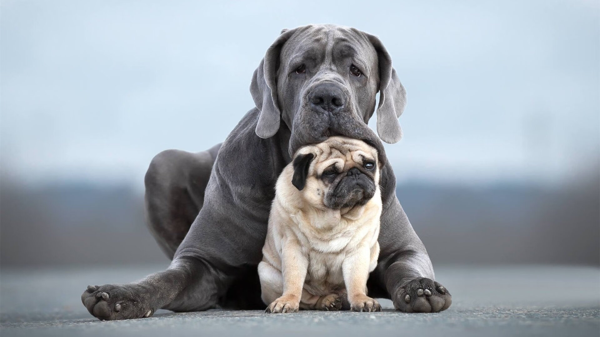 詹姆斯带伤坚持比赛打动全场球迷，詹姆斯有伤吗