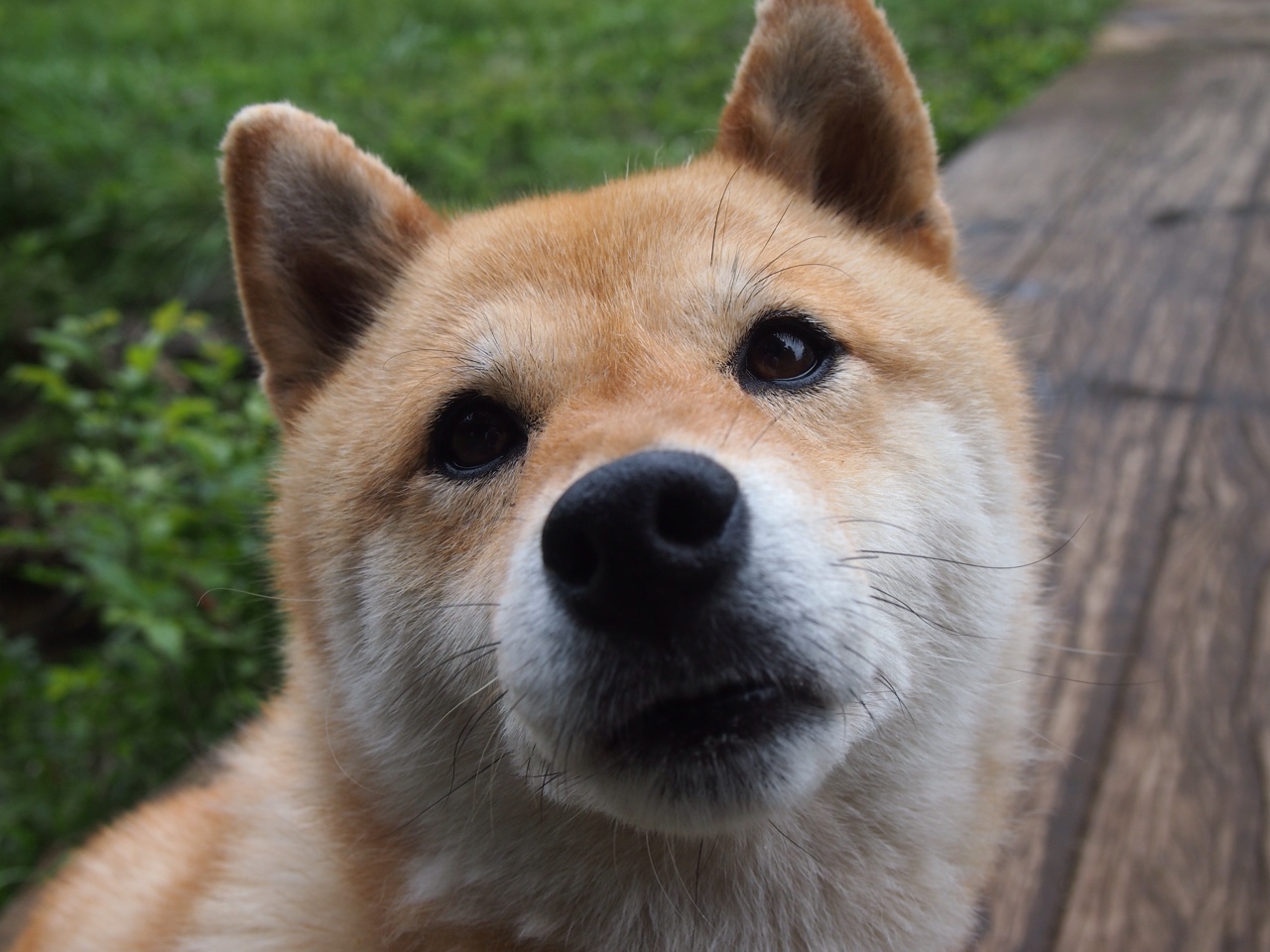 爱游戏 电竞-青少年篮球冬令营火热开启提供专业训练与成长机会，青少年篮球培训招生简章